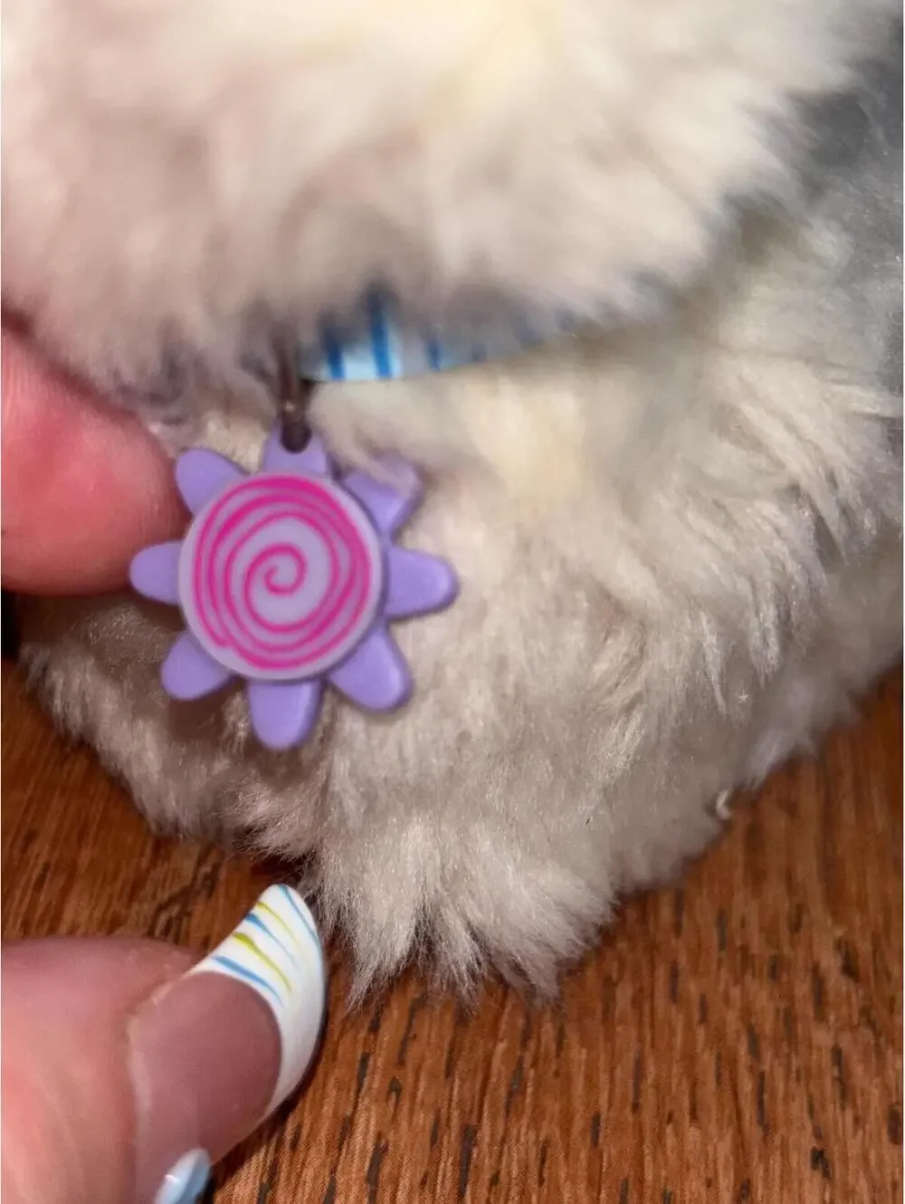 American Girl Coconut Dog And Pajama Top